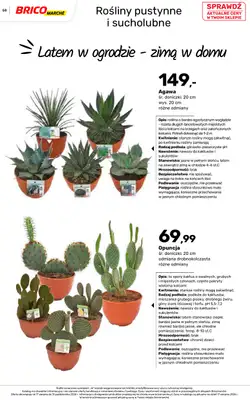 Bricomarche - gazetka promocyjna Jesienne inspiracje od poniedziałku 17.08 do soboty 31.10 - strona 58
