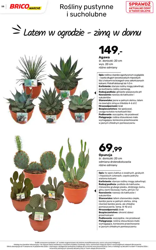 Bricomarche - gazetka promocyjna Jesienne inspiracje od poniedziałku 17.08 do soboty 31.10 - strona 58