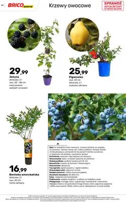 Bricomarche - gazetka promocyjna Jesienne inspiracje od poniedziałku 17.08 do soboty 31.10 - strona 44
