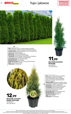 Bricomarche - gazetka promocyjna Jesienne inspiracje od poniedziałku 17.08 do soboty 31.10 - strona 56