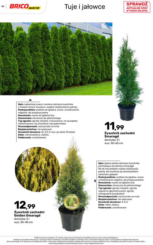 Bricomarche - gazetka promocyjna Jesienne inspiracje od poniedziałku 17.08 do soboty 31.10 - strona 56