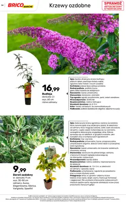 Bricomarche - gazetka promocyjna Jesienne inspiracje od poniedziałku 17.08 do soboty 31.10 - strona 34