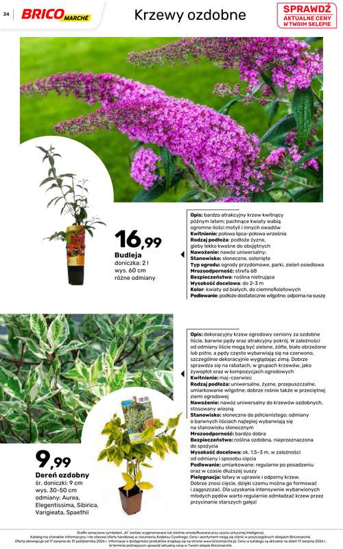 Bricomarche - gazetka promocyjna Jesienne inspiracje od poniedziałku 17.08 do soboty 31.10 - strona 34