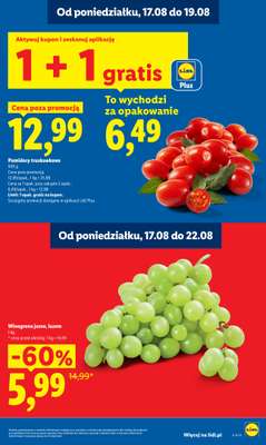 Lidl - gazetka promocyjna Oferta od poniedziałku od poniedziałku 17.08 do środy 19.08 - strona 17