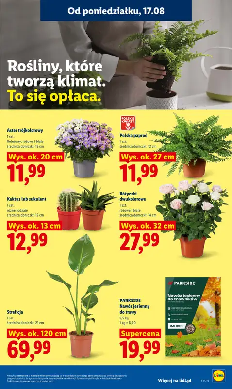 Lidl - gazetka promocyjna Oferta od poniedziałku od poniedziałku 17.08 do środy 19.08 - strona 77