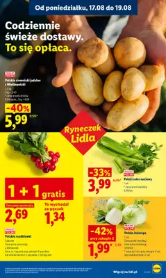 Lidl - gazetka promocyjna Oferta od poniedziałku od poniedziałku 17.08 do środy 19.08 - strona 35
