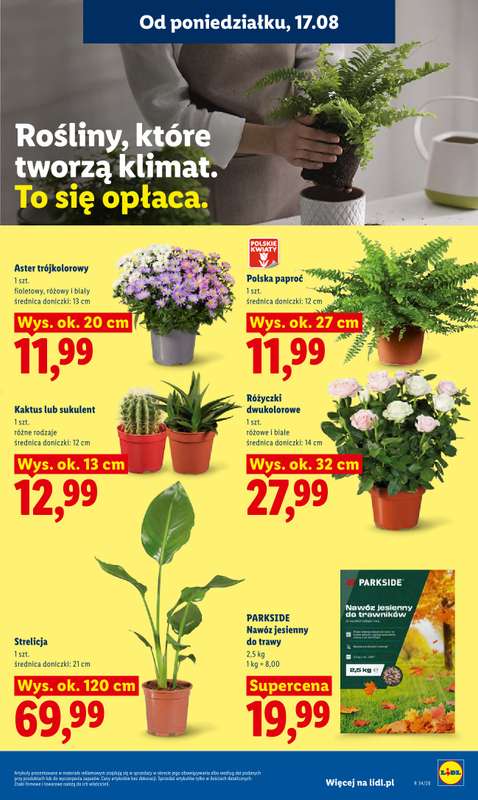 Lidl - gazetka promocyjna Oferta od poniedziałku od poniedziałku 17.08 do środy 19.08 - strona 77