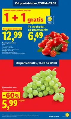 Lidl - gazetka promocyjna Oferta od poniedziałku od poniedziałku 17.08 do środy 19.08 - strona 17