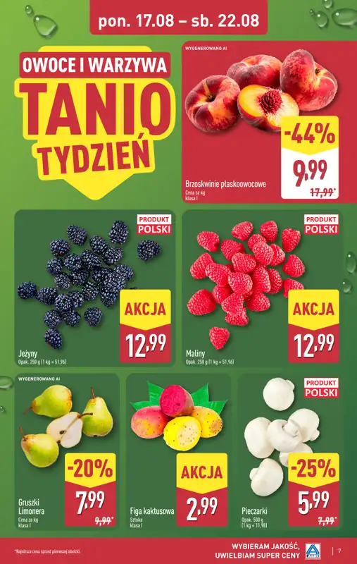 Aldi - gazetka promocyjna Pełny katalog! od poniedziałku 17.08 do soboty 22.08 - strona 7