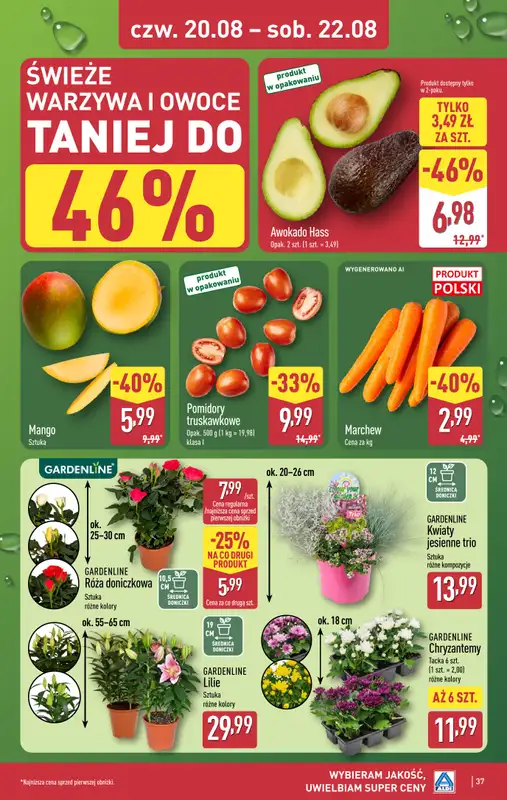 Aldi - gazetka promocyjna Pełny katalog! od poniedziałku 17.08 do soboty 22.08 - strona 37