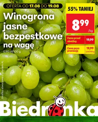 Biedronka - gazetka promocyjna Biedronkowe oszczędności od poniedziałku od poniedziałku 17.08 do środy 19.08 - strona 3