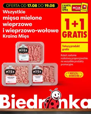 Biedronka - gazetka promocyjna Biedronkowe oszczędności od poniedziałku od poniedziałku 17.08 do środy 19.08 - strona 6