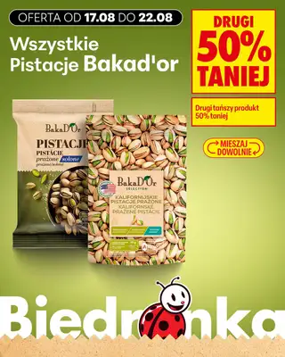 Biedronka - gazetka promocyjna Biedronkowe oszczędności od poniedziałku od poniedziałku 17.08 do środy 19.08 - strona 13