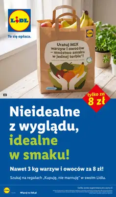 Lidl - gazetka promocyjna Katalog od poniedziałku 24.08 do niedzieli 30.08 - strona 58