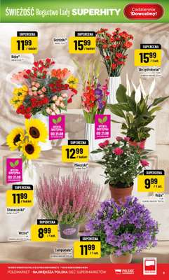 POLOmarket - gazetka promocyjna Gazetka od środy 19.08 do wtorku 25.08 - strona 9