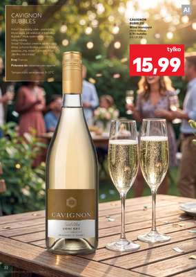 Kaufland - gazetka promocyjna Barek Kauflandu  do środy 02.09 - strona 22