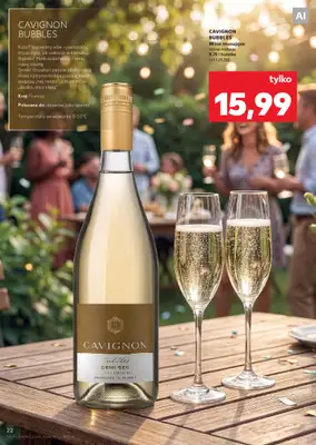 Kaufland - gazetka promocyjna Barek Kauflandu  do środy 02.09 - strona 22