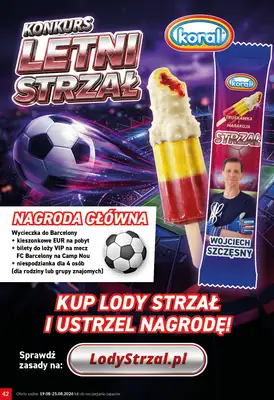 Twój Market - gazetka promocyjna Gazetka od środy 19.08 do wtorku 25.08 - strona 42