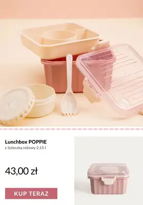 Homla - gazetka promocyjna Lunchbox - idealny do szkoły od wtorku 18.08  - strona 10