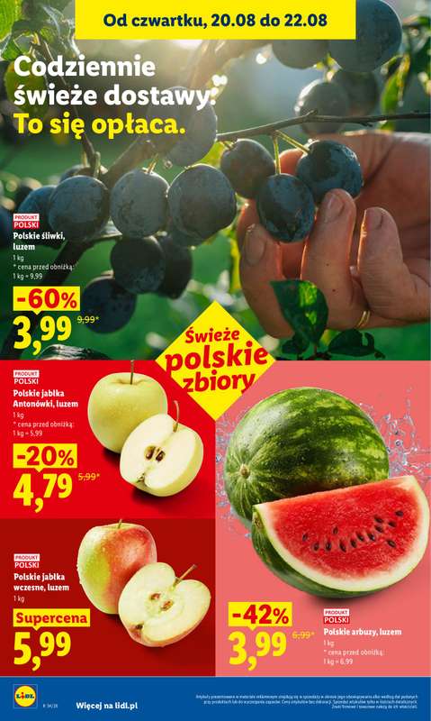 Lidl - gazetka promocyjna Oferta od czwartku od czwartku 20.08 do soboty 22.08 - strona 44