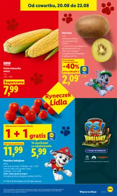 Lidl - gazetka promocyjna Oferta od czwartku od czwartku 20.08 do soboty 22.08 - strona 47