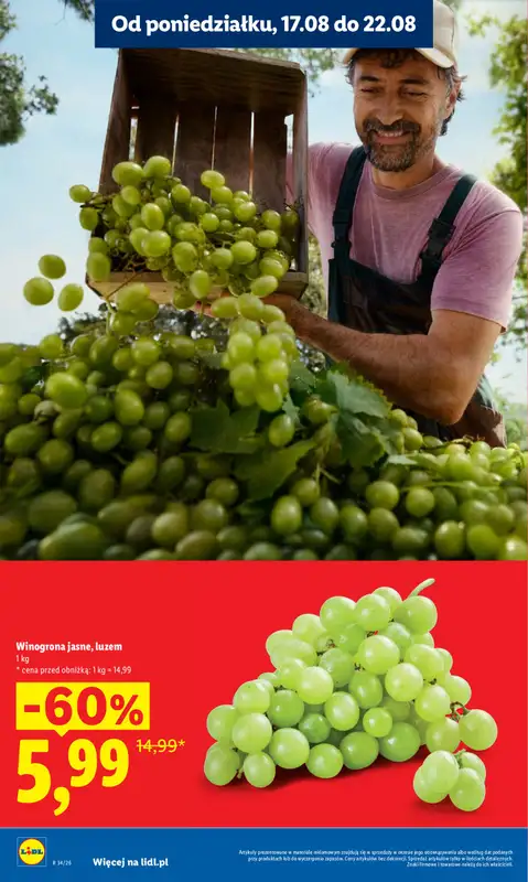 Lidl - gazetka promocyjna Oferta od czwartku od czwartku 20.08 do soboty 22.08 - strona 16