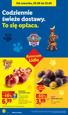 Lidl - gazetka promocyjna Oferta od czwartku od czwartku 20.08 do soboty 22.08 - strona 46