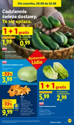Lidl - gazetka promocyjna Oferta od czwartku od czwartku 20.08 do soboty 22.08 - strona 43