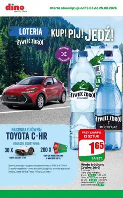Dino - gazetka promocyjna MEGA promocje! od środy 19.08 do wtorku 25.08 - strona 5