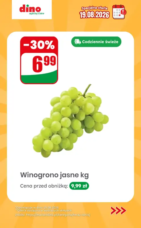 Dino - gazetka promocyjna Specjalna oferta na 19.08.2026 - promocje spoza gazetki od środy 19.08 do środy 19.08 - strona 10