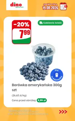 Dino - gazetka promocyjna Specjalna oferta na 19.08.2026 - promocje spoza gazetki od środy 19.08 do środy 19.08 - strona 2