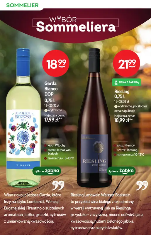 Żabka - gazetka promocyjna Katalog win od środy 19.08 do wtorku 01.09 - strona 8