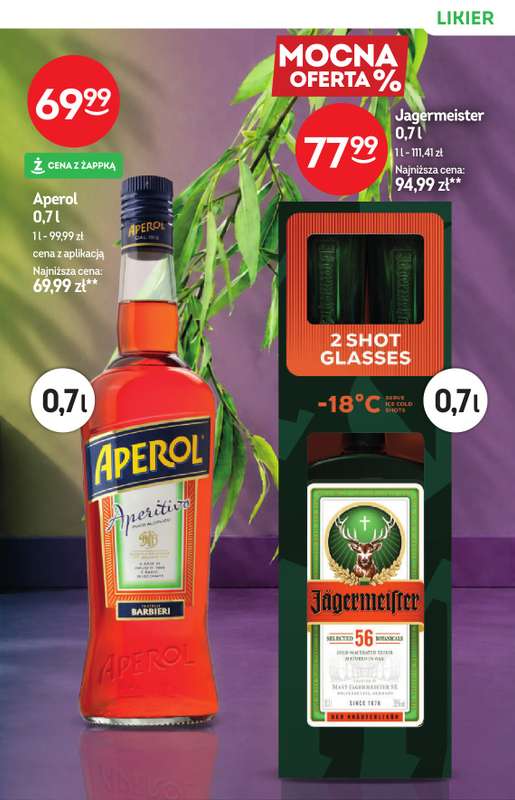 Żabka - gazetka promocyjna Katalog alkoholowy od środy 19.08 do wtorku 01.09 - strona 13