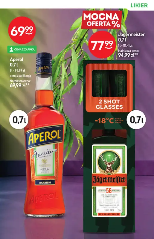 Żabka - gazetka promocyjna Katalog alkoholowy od środy 19.08 do wtorku 01.09 - strona 13