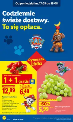 Lidl - gazetka promocyjna Oferta od poniedziałku od poniedziałku 17.08 do środy 19.08 - strona 38