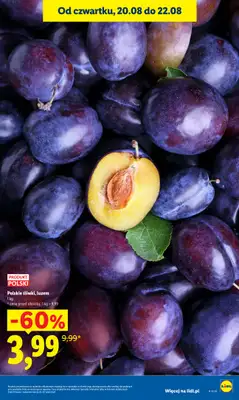 Lidl - gazetka promocyjna Oferta od czwartku od czwartku 20.08 do soboty 22.08 - strona 17