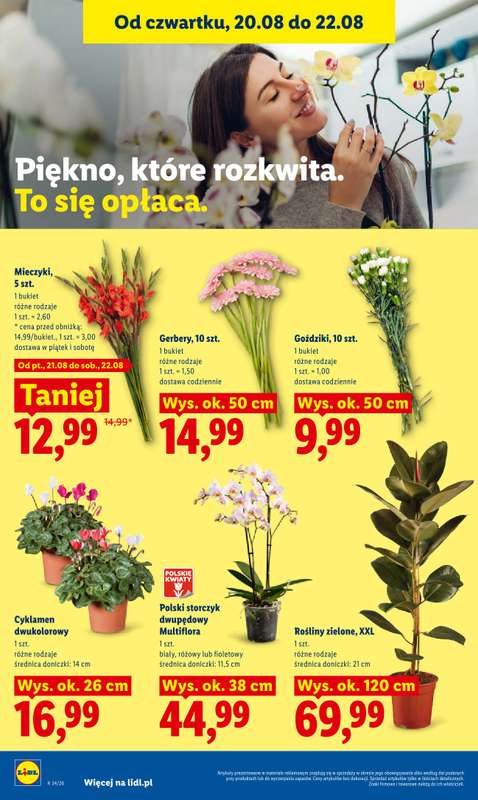 Lidl - gazetka promocyjna Oferta od czwartku od czwartku 20.08 do soboty 22.08 - strona 96