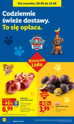 Lidl - gazetka promocyjna Oferta od czwartku od czwartku 20.08 do soboty 22.08 - strona 46