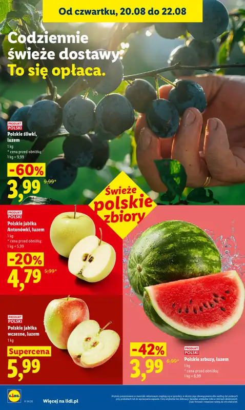 Lidl - gazetka promocyjna Oferta od czwartku od czwartku 20.08 do soboty 22.08 - strona 44