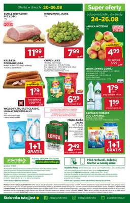 Stokrotka - gazetka promocyjna Gazetka Supermarket od czwartku 20.08 do środy 26.08 - strona 45