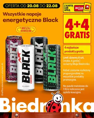 Biedronka - gazetka promocyjna Biedronkowe oszczędności od czwartku od czwartku 20.08 do soboty 22.08 - strona 13