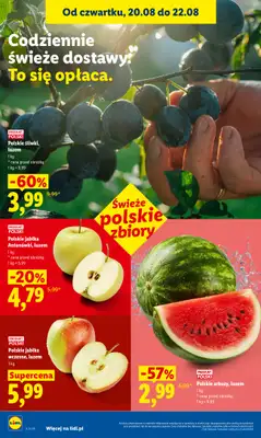 Lidl - gazetka promocyjna Oferta od czwartku od czwartku 20.08 do soboty 22.08 - strona 46