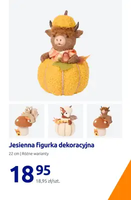 Action - gazetka promocyjna Jesienne dodatki do twojego domu od piątku 21.08 do wtorku 25.08 - strona 15
