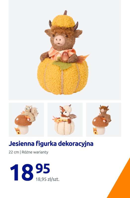 Action - gazetka promocyjna Jesienne dodatki do twojego domu od piątku 21.08 do wtorku 25.08 - strona 15