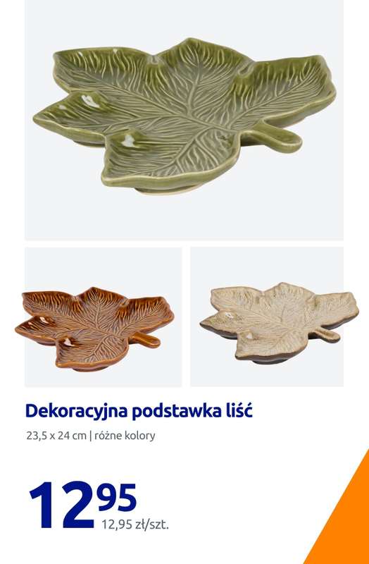 Action - gazetka promocyjna Jesienne dodatki do twojego domu od piątku 21.08 do wtorku 25.08 - strona 13
