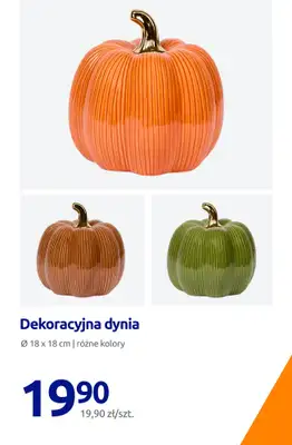 Action - gazetka promocyjna Jesienne dodatki do twojego domu od piątku 21.08 do wtorku 25.08 - strona 5