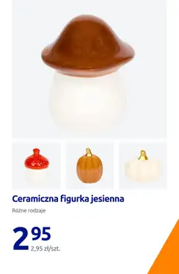 Action - gazetka promocyjna Jesienne dodatki do twojego domu od piątku 21.08 do wtorku 25.08 - strona 16