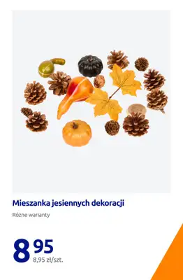 Action - gazetka promocyjna Jesienne dodatki do twojego domu od piątku 21.08 do wtorku 25.08 - strona 14