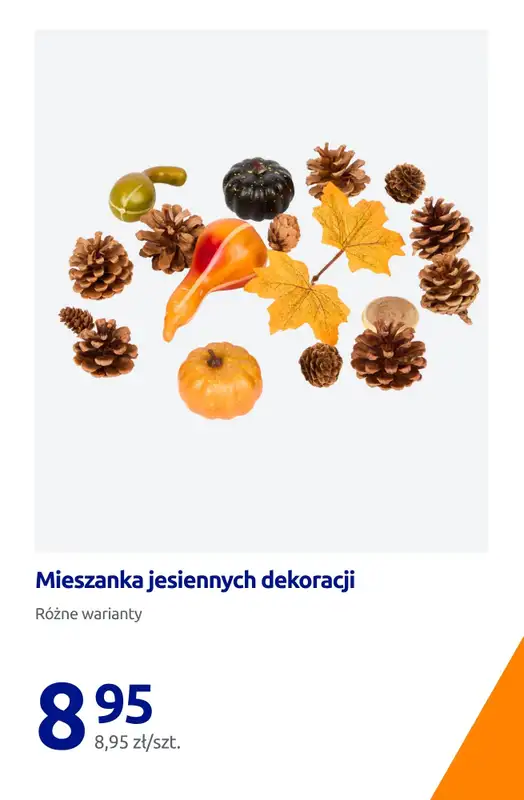 Action - gazetka promocyjna Jesienne dodatki do twojego domu od piątku 21.08 do wtorku 25.08 - strona 14