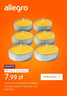 Allegro - gazetka promocyjna Jesienny nastrój w Twoim domu od piątku 21.08 do piątku 28.08 - strona 2